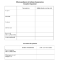 Photosynthesis  Cellular Resp Review Worksheet