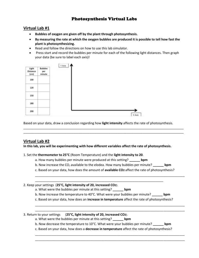 Photosynthesis Virtual Lab Worksheet Answer Key | db-excel.com