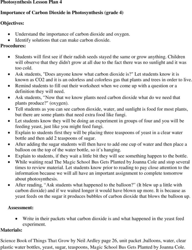 Magic School Bus Gets Planted Worksheet