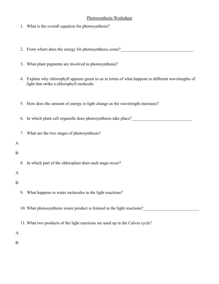 Photosynthesis Worksheet Answers