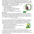 Photosynthesis Review Worksheet
