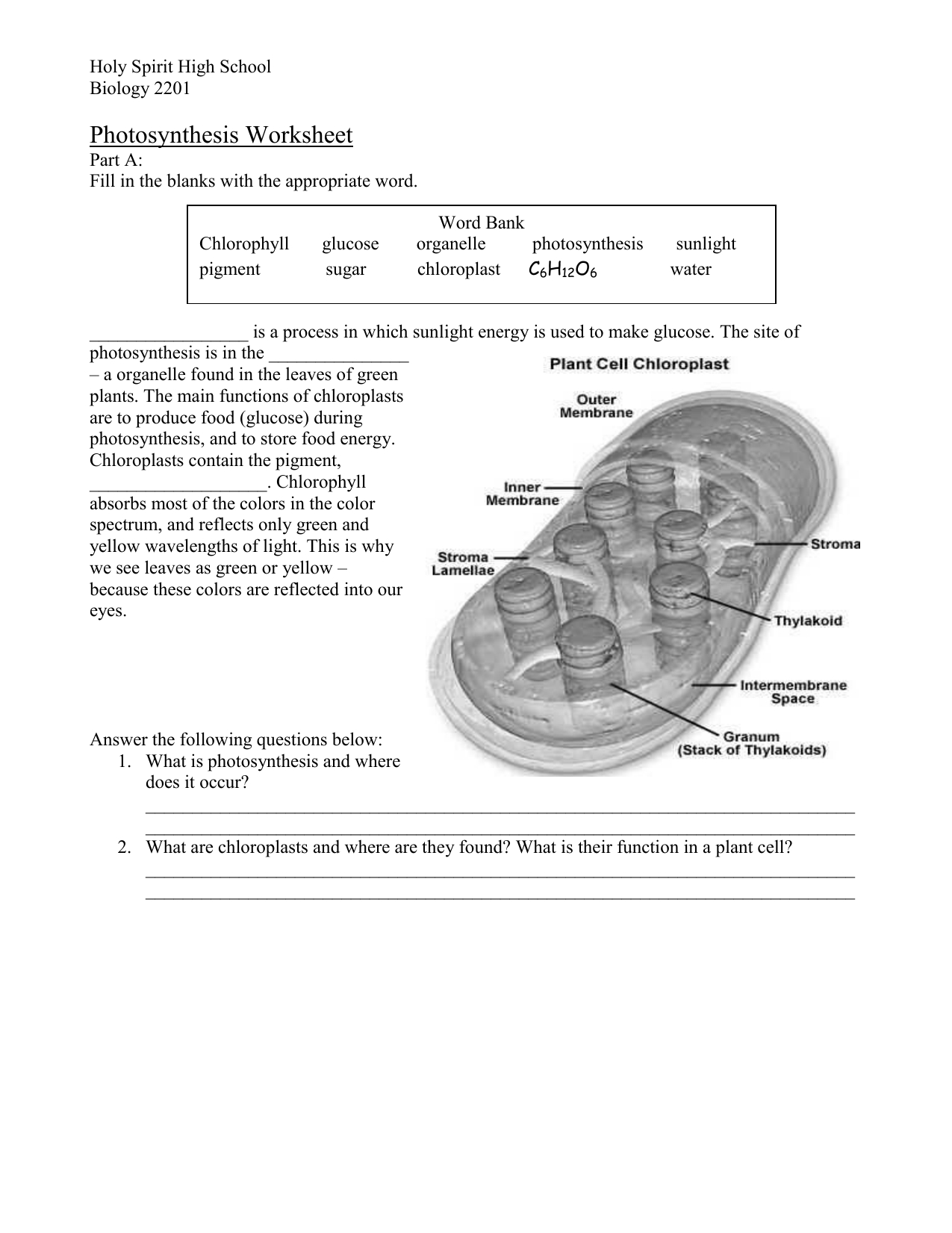 Photosynthesis Practice Worksheet Answer Key