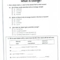 Photosynthesis Review Worksheet Answer Key