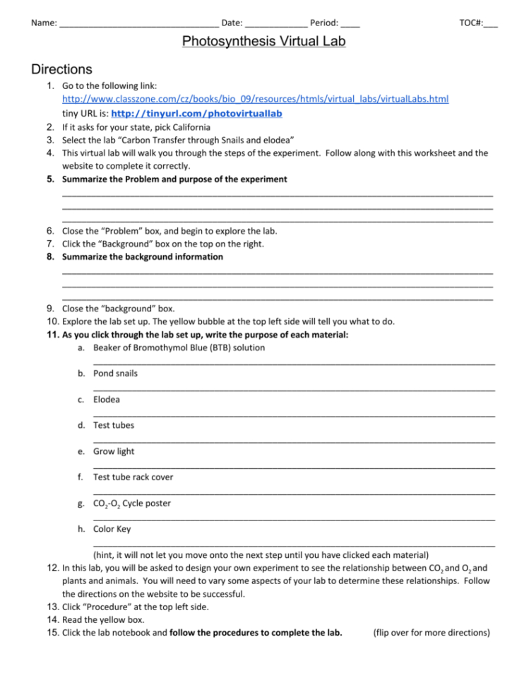 Photosynthesis Virtual Lab Directions