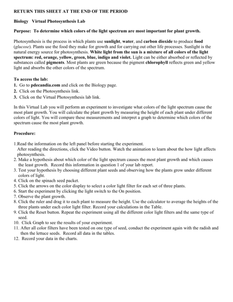 Photosynthesis Virtual Lab Report