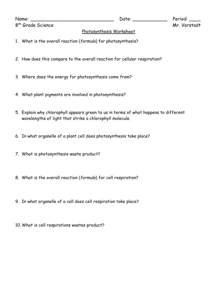 Photosynthesis Worksheet