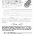 Photosynthesis Worksheet Answer Key Division Worksheets Rock