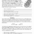 Photosynthesis Worksheet Answer Key Division Worksheets Rock Cycle