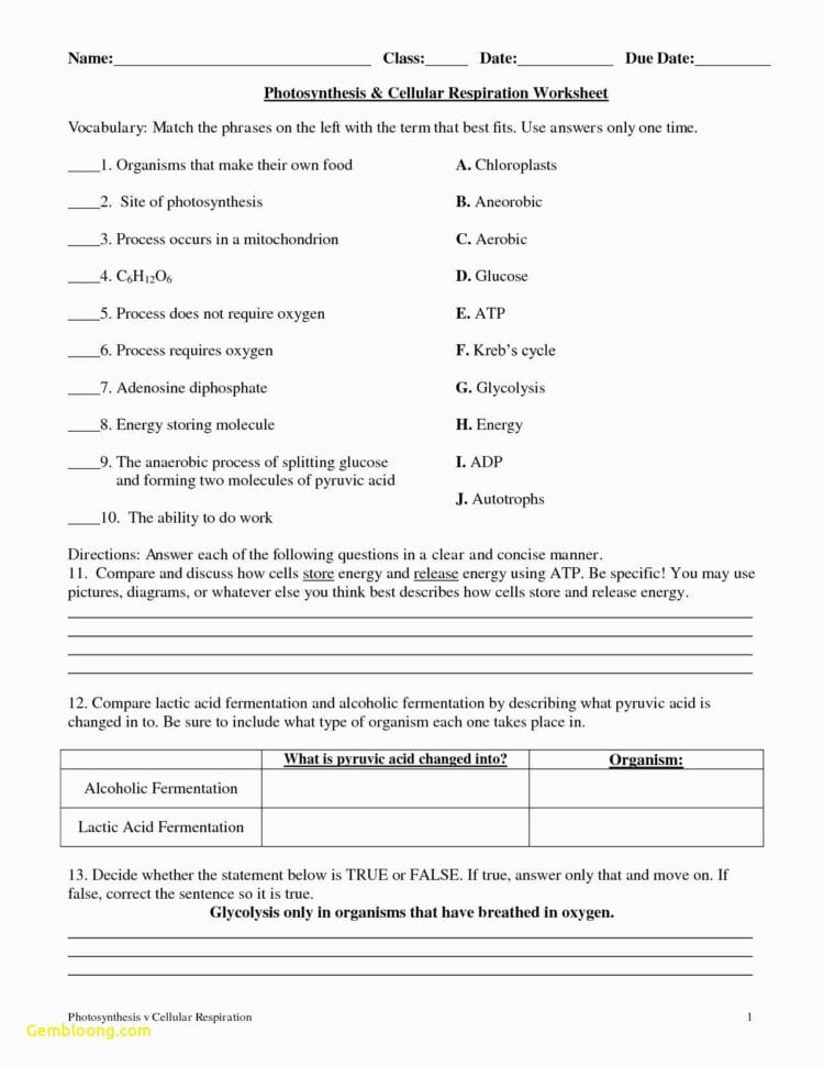Photosynthesis Worksheet High School  Cramerforcongress