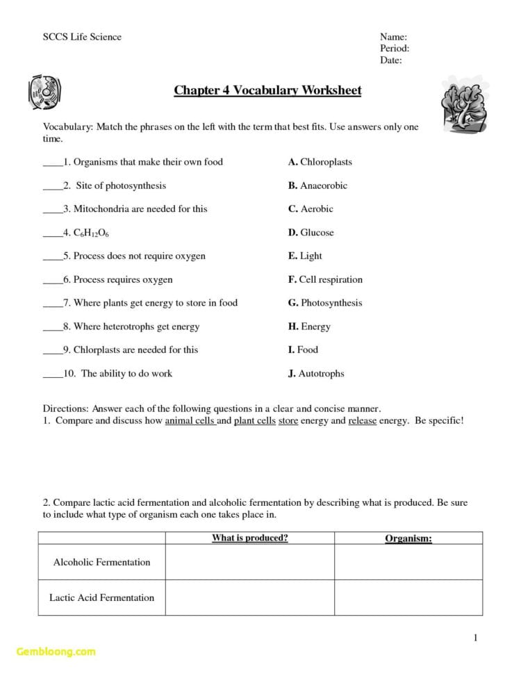 Photosynthesis Worksheet High School  Cramerforcongress