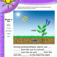 Photosynthesis Worksheets For Elementary Classrooms