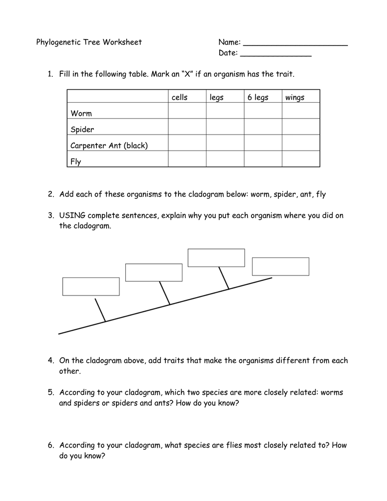 Phylogenetic Tree Practice Worksheet With Answers Pdf