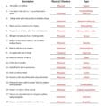 Physical And Chemical Properties And Changes Worksheet