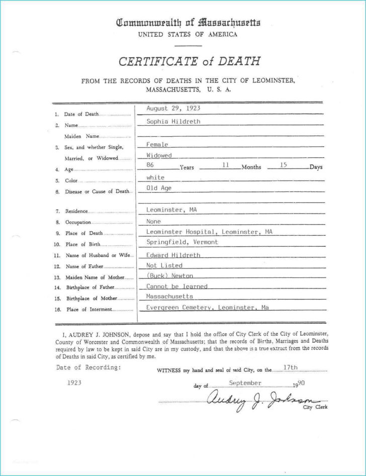 Physical Science Newton039S Laws Worksheet