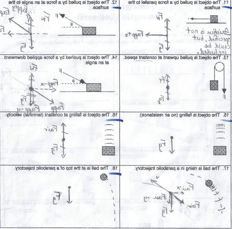 Physics Free Body Diagram Worksheet Geekchicpro —