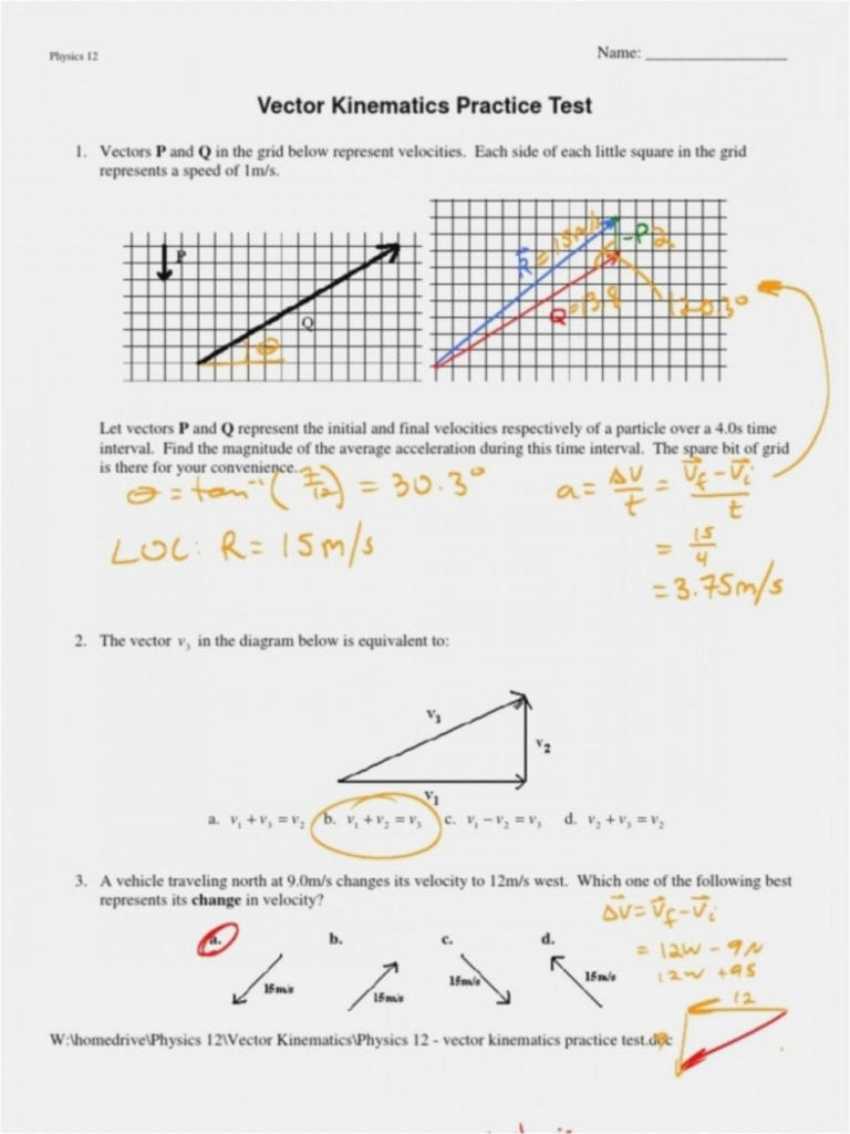 Two Dimensional Motion And Vectors Worksheet Answers — db-excel.com