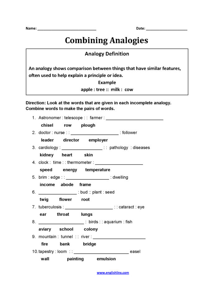 Picture Analogy Worksheets