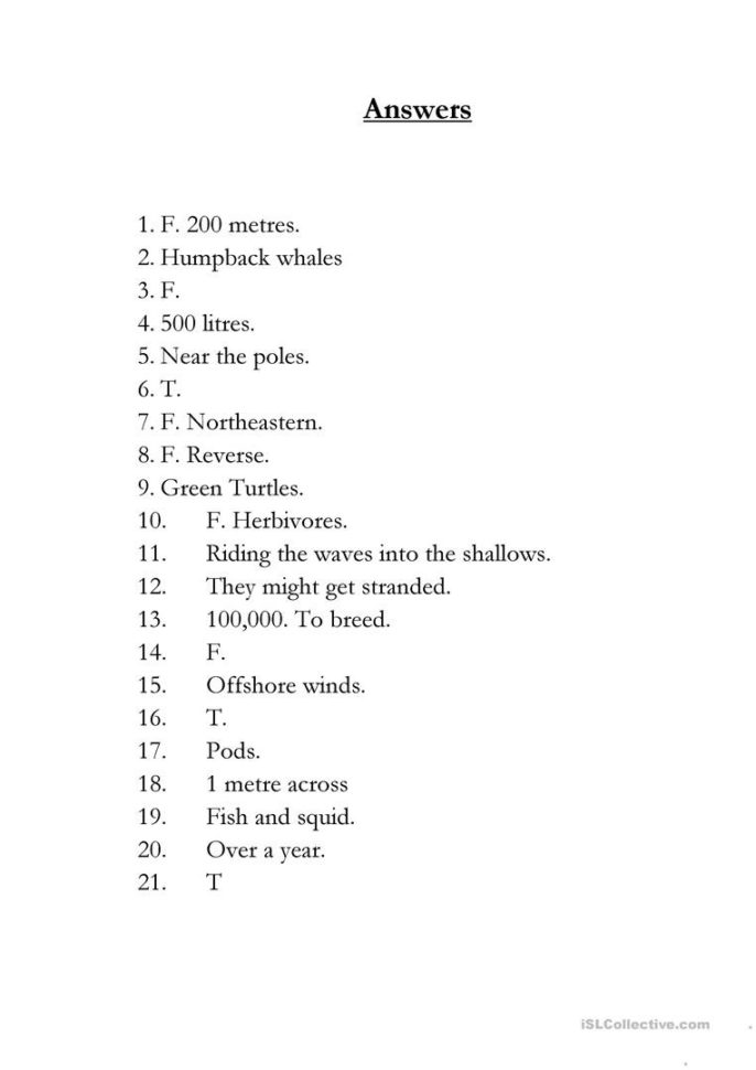 Planet Earth  Shallow Seas  English Esl Worksheets