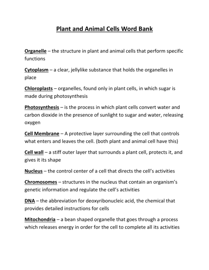 Cells And Their Organelles Worksheet