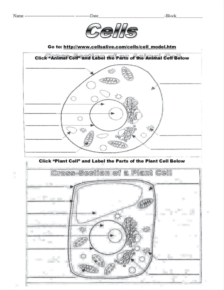 Plant Coloring Cell – Shieldprintco