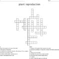 Plant Reproduction Crossword  Word