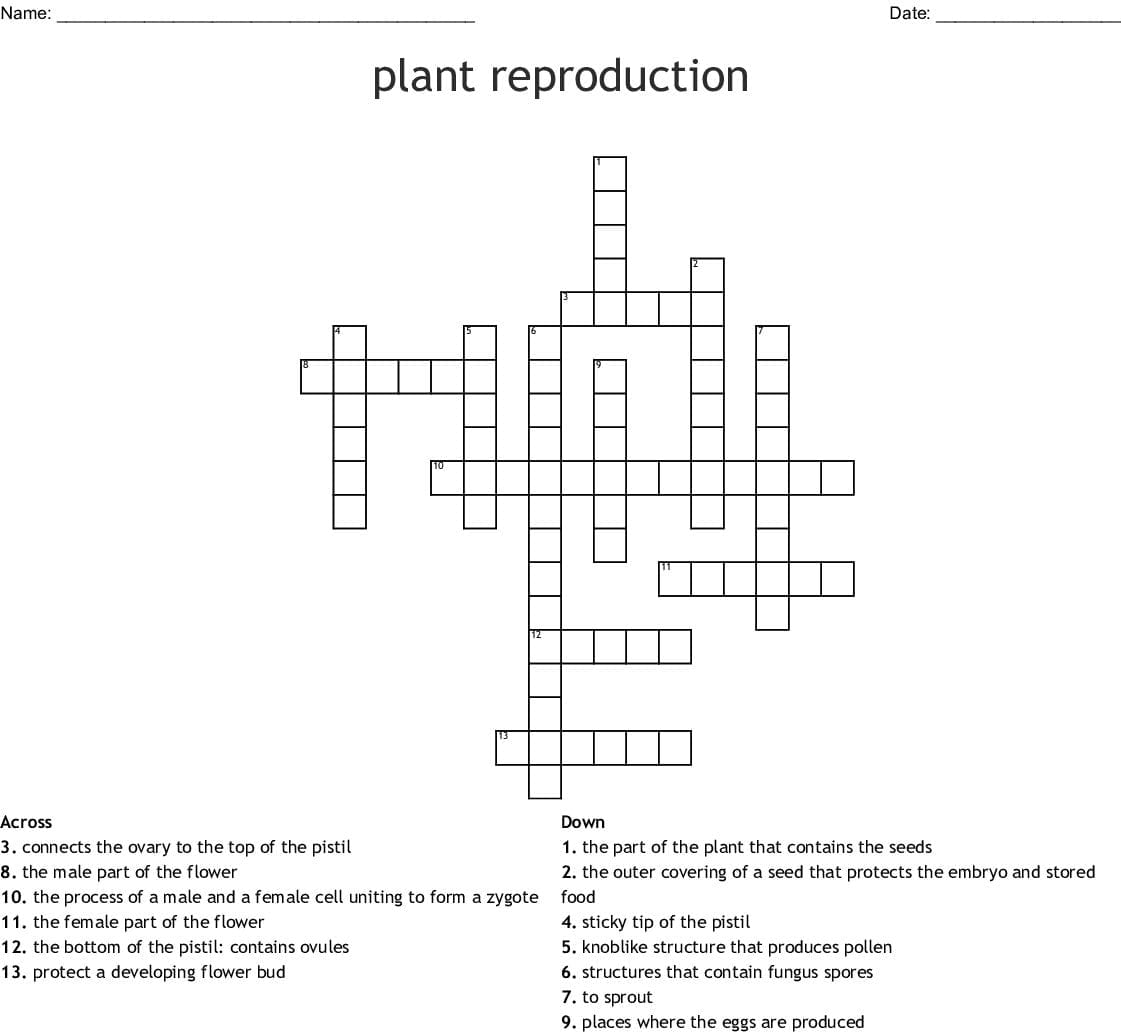 Plant Reproduction Crossword  Word