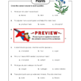Plants  Super Teacher Worksheets