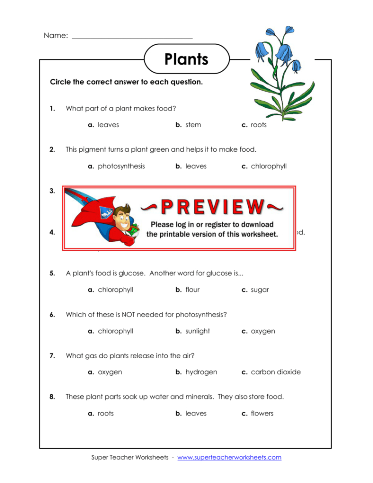 Plants  Super Teacher Worksheets