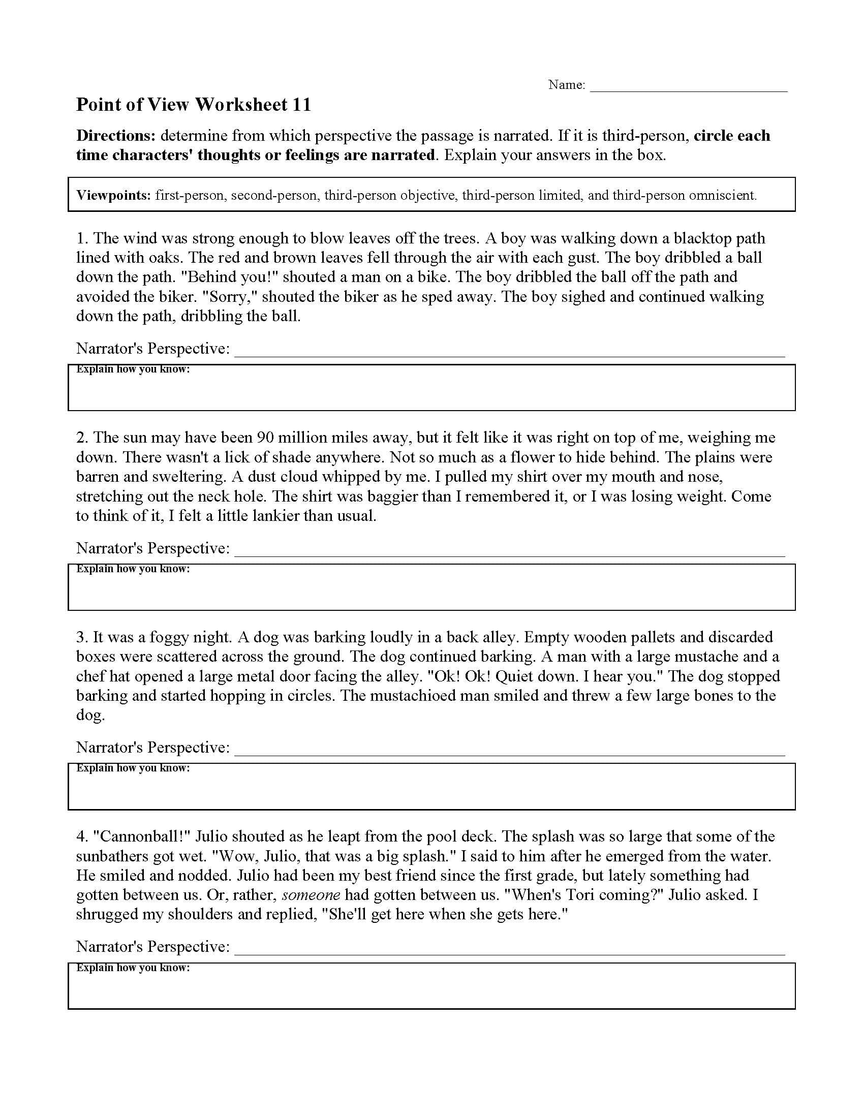 Point Of View Worksheet English 11