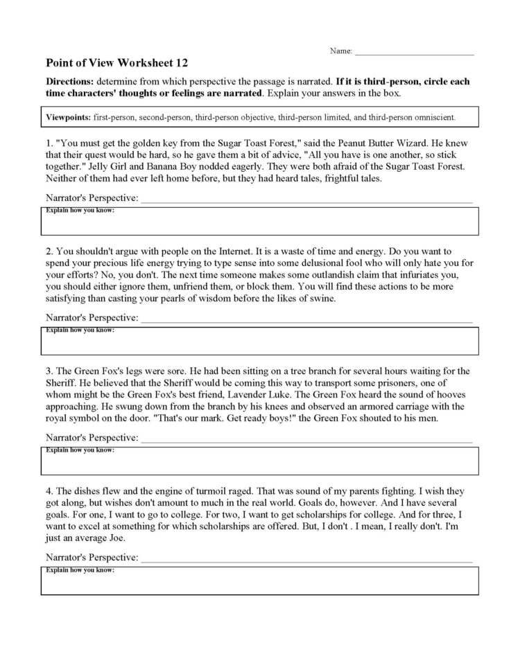 Point Of View Worksheet 12  Preview