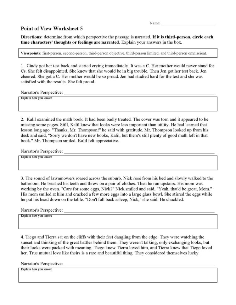 Point Of View Worksheet 5  Preview