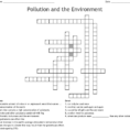 Pollution And The Environment Crossword  Word
