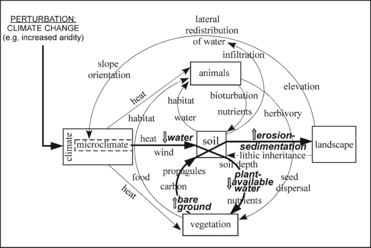 Pond Water Microscope Lab Worksheet