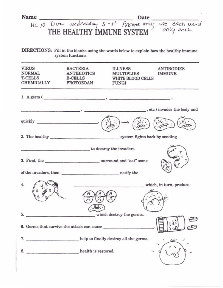 Pond Ter Microscope Lab Worksheet