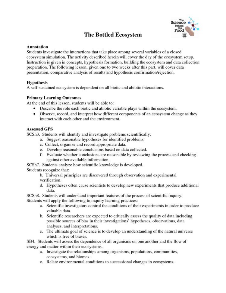 Population Community And Ecosystem Worksheet Answer Key