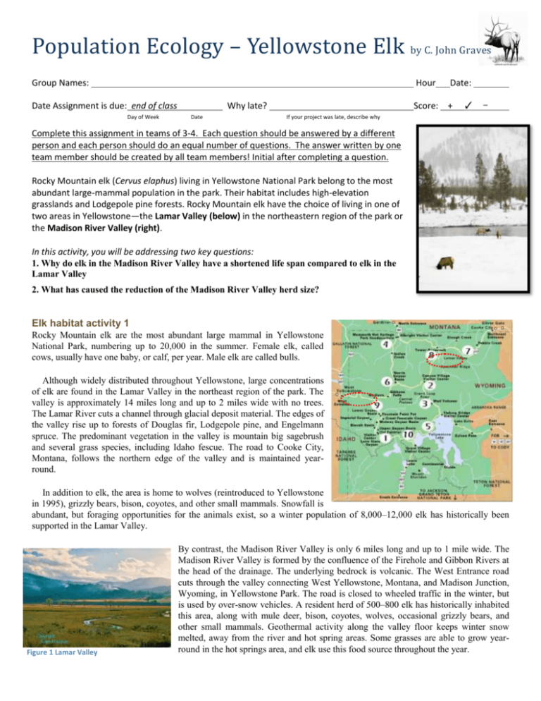 Wolves In Yellowstone Worksheet | db-excel.com