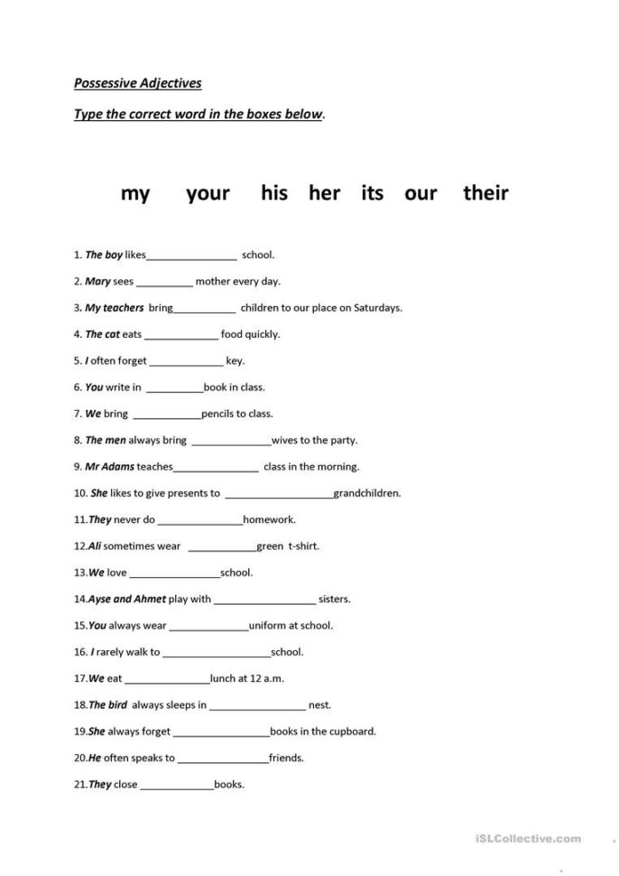 Possessive Adjectives Worksheets 4th Grade