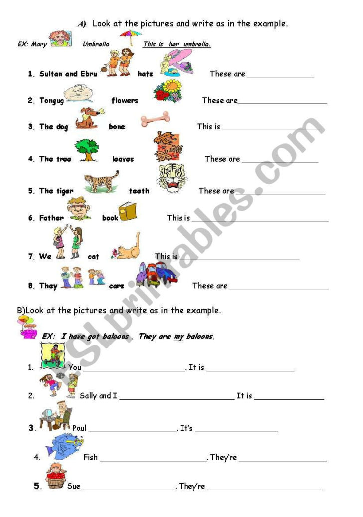 Possessive Adjectives Worksheet
