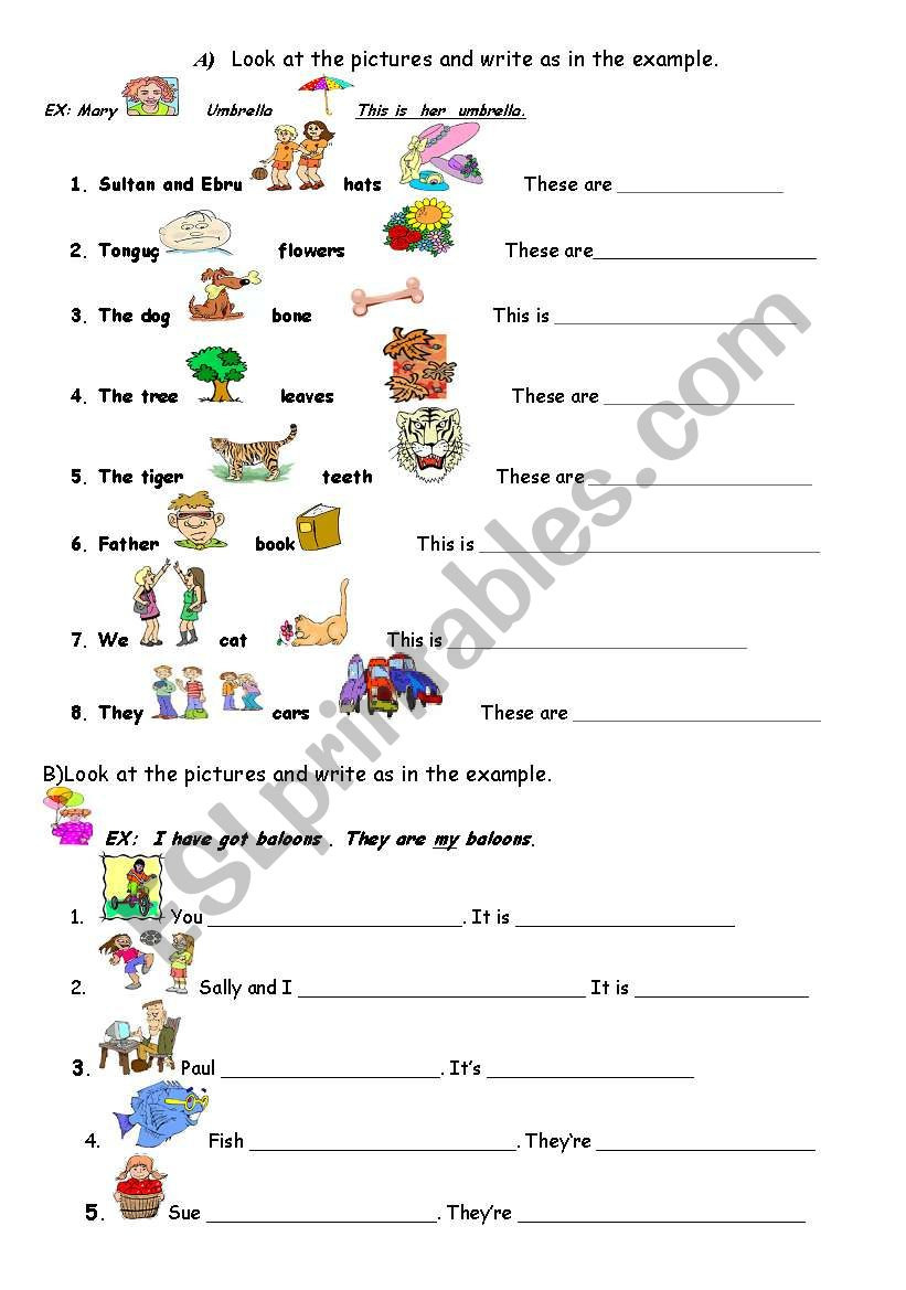 Possessive Adjectives Short Forms Worksheet