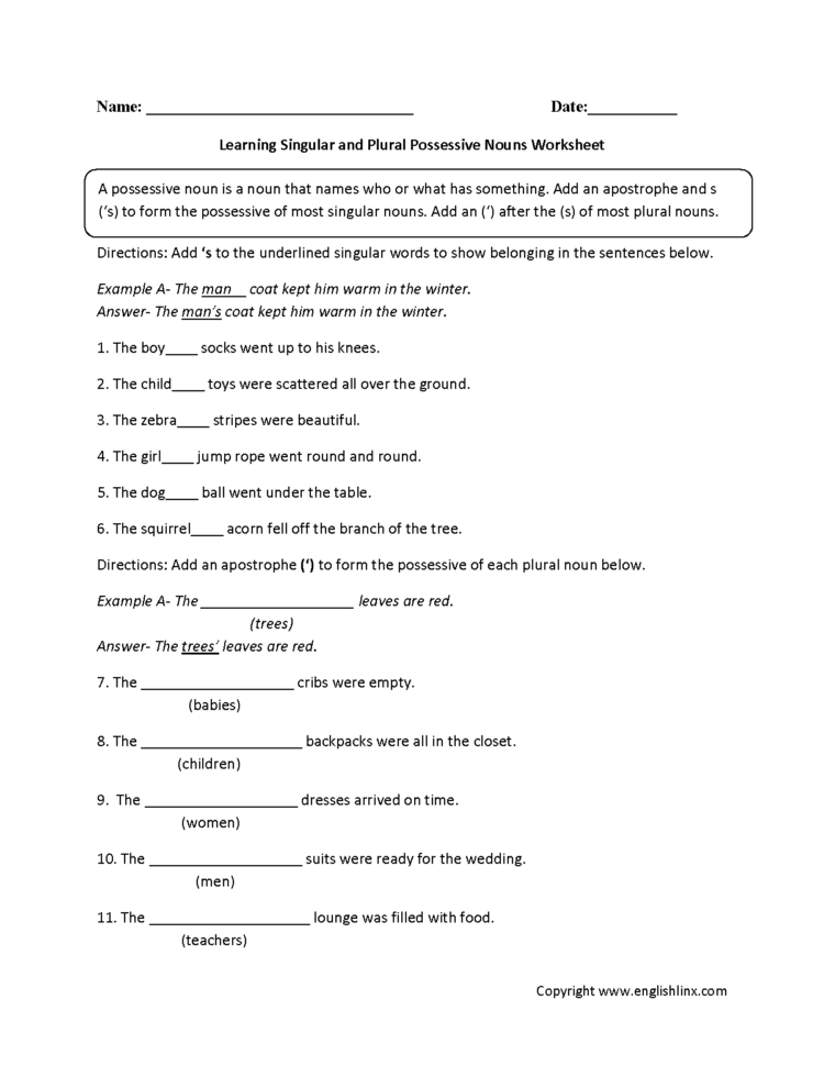 Possessive Nouns Worksheets  Learning Singular And Plural