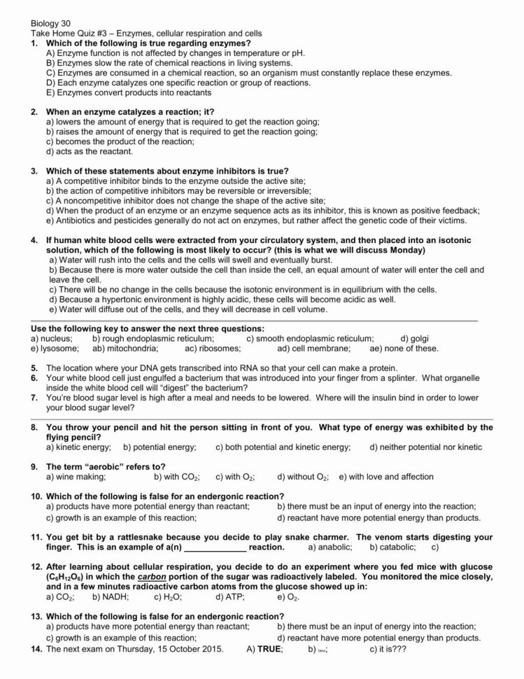 Potential Energy And Kinetic Energy Worksheet Answers