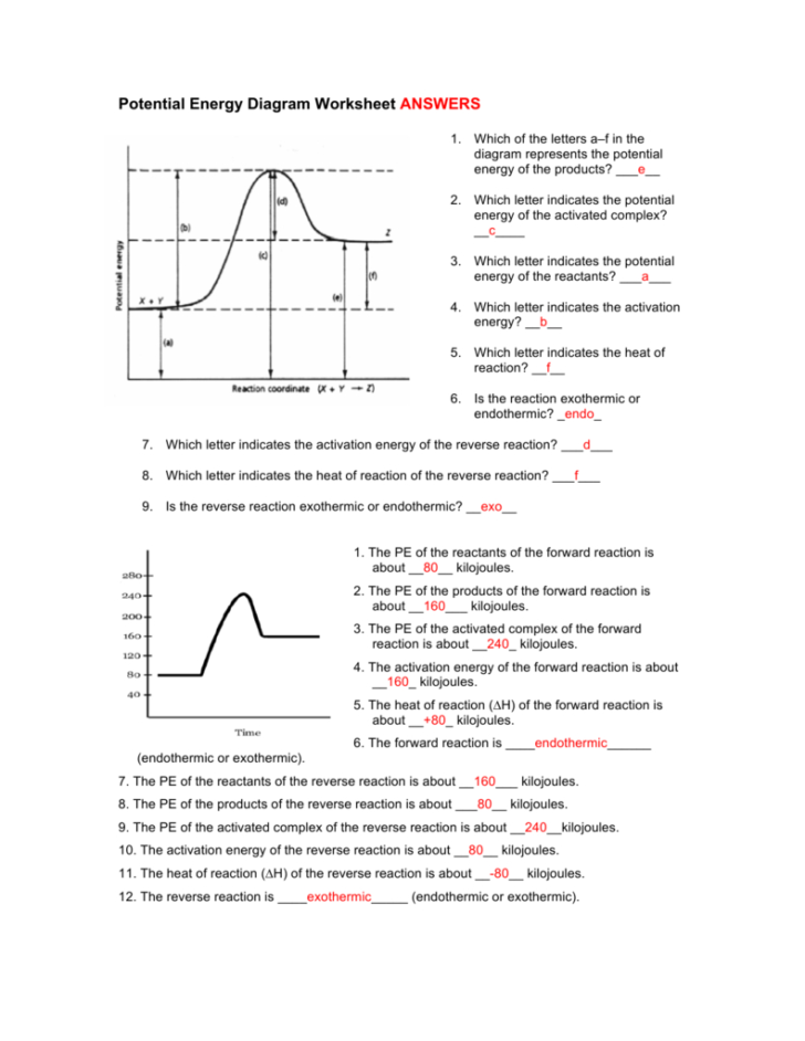 Potential Energy Diagram Worksheet Answers — db-excel.com