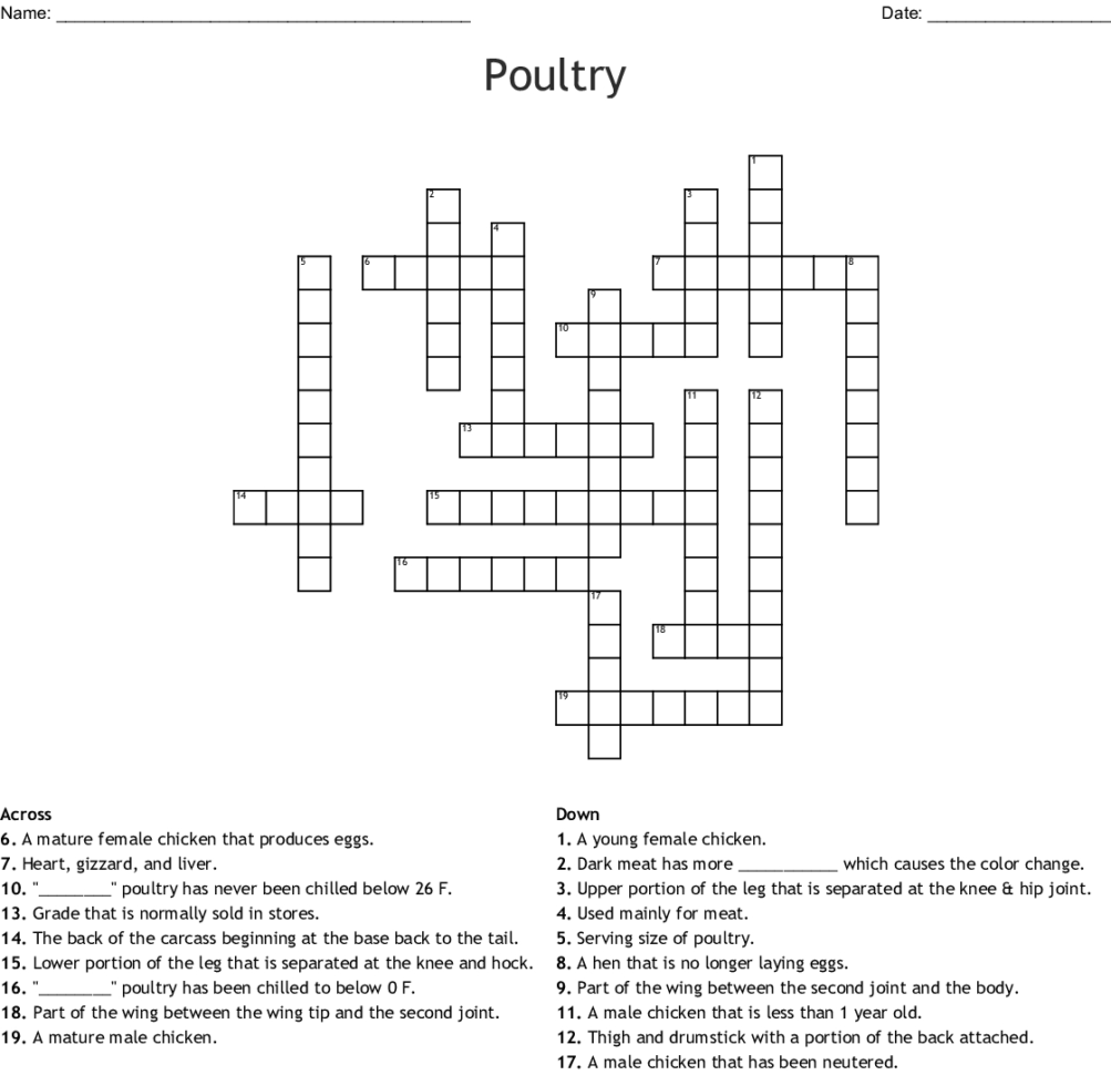 Poultry Crossword  Word