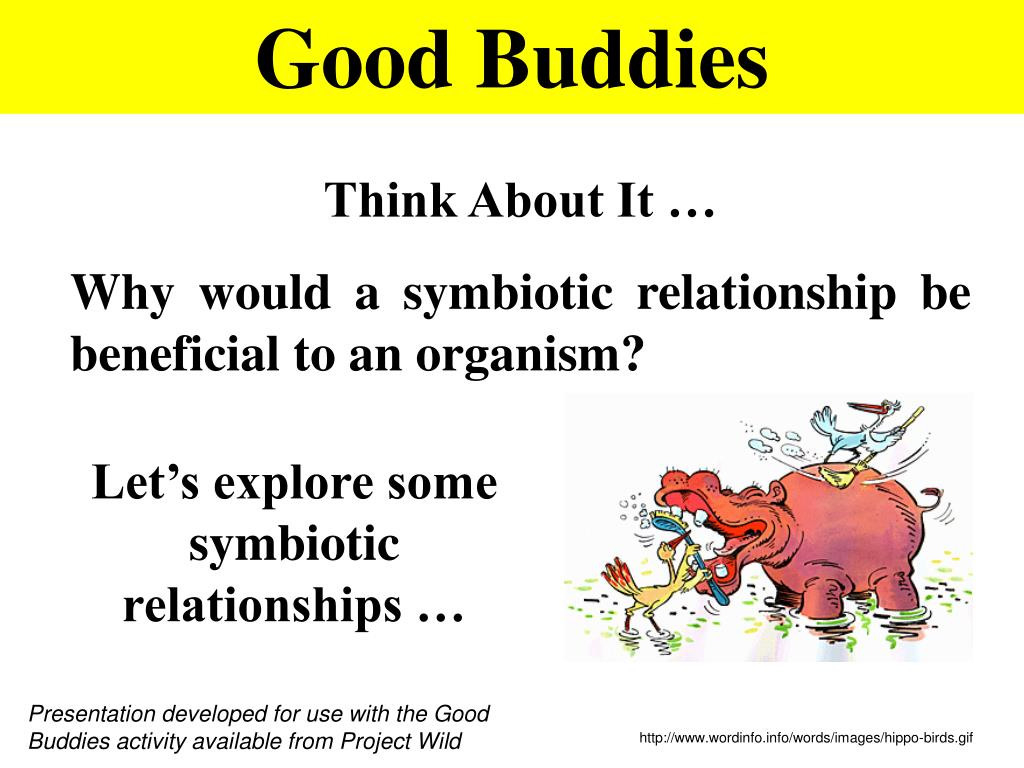 Symbiotic Relationships Worksheet Good Buddies