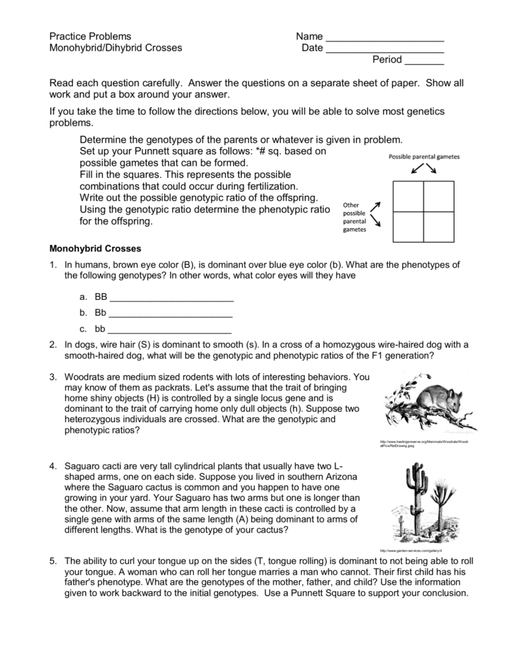 Practice Problems Name Monohybriddihybrid Crosses Date Period