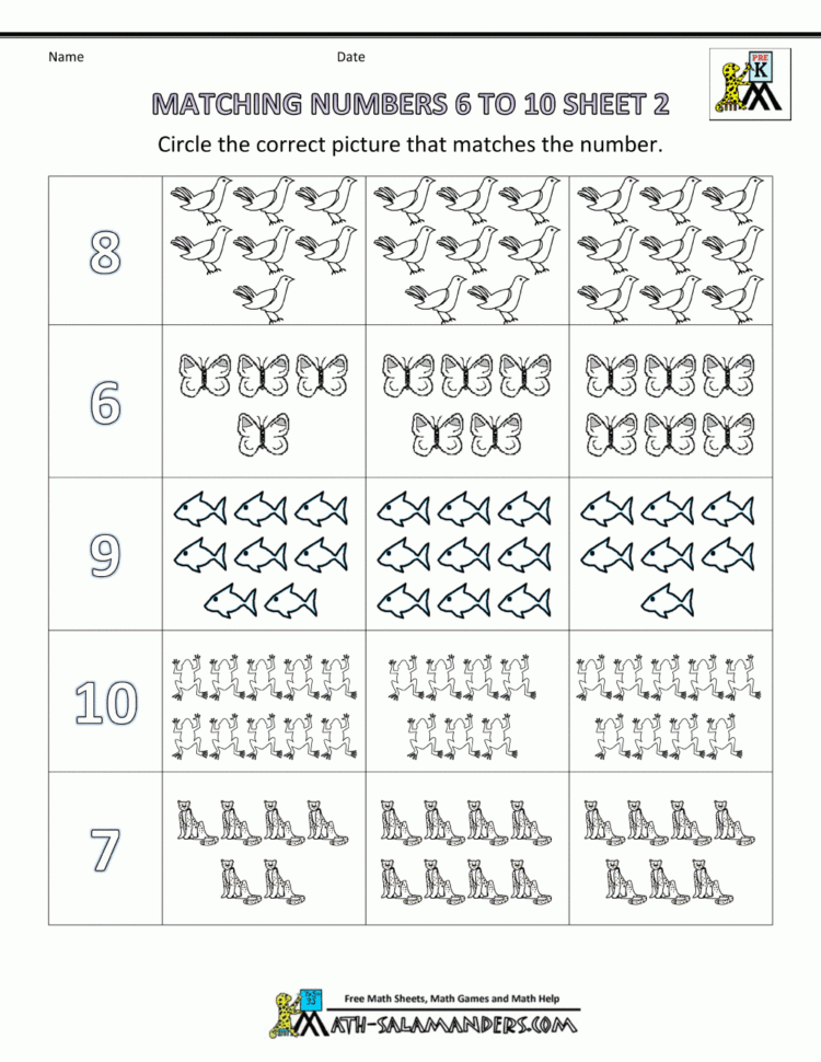 Pre K Math Worksheets  Matching 6 To 10 Pre K Math Worksheets  Matching 6 To 10