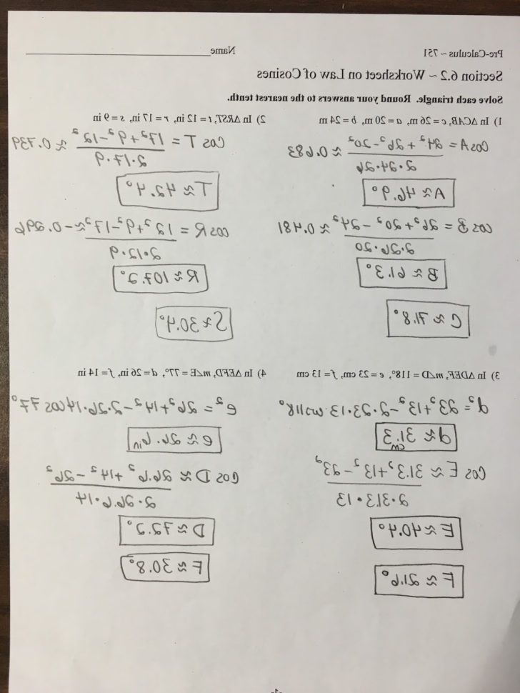 Precalculus Vectors Worksheet  Savoyuptown