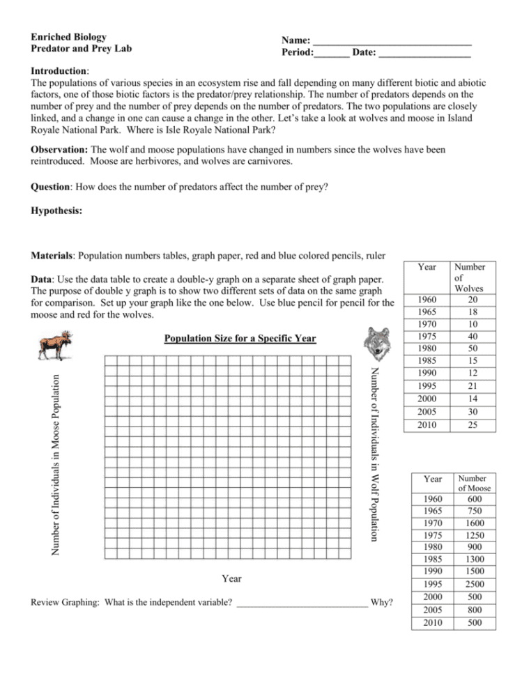 Predator And Prey Lab