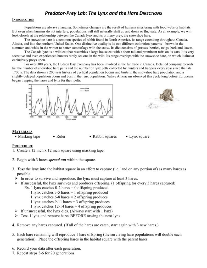 Predator Prey Relationship Worksheet Answers Db excel