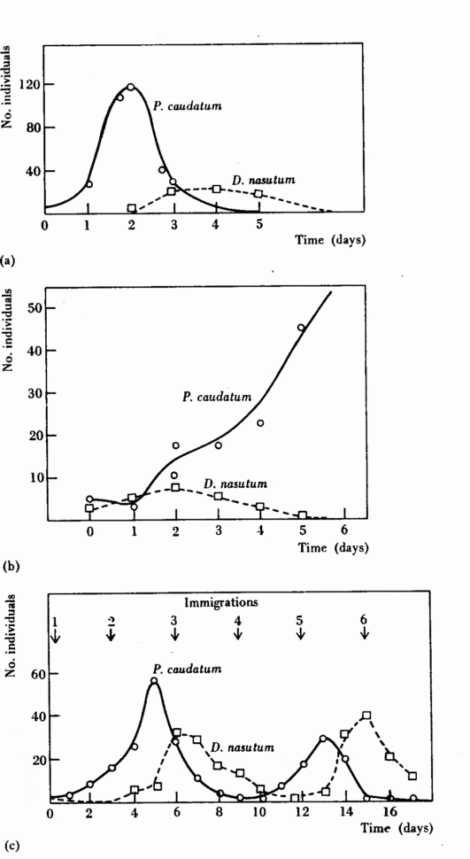 Predatorprey Relationships